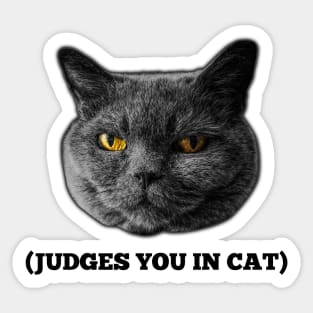 Judges You in Cat Sticker